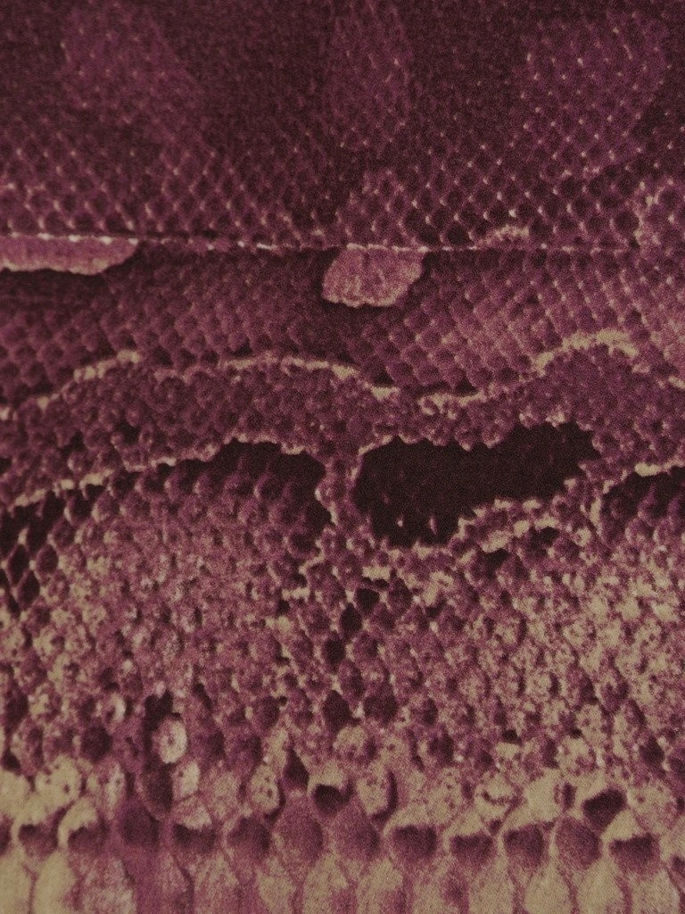 Śliwkowa spódnica ołówkowa midi w cętki – krój z podszewką, optycznie wysmuklający biodra 18693